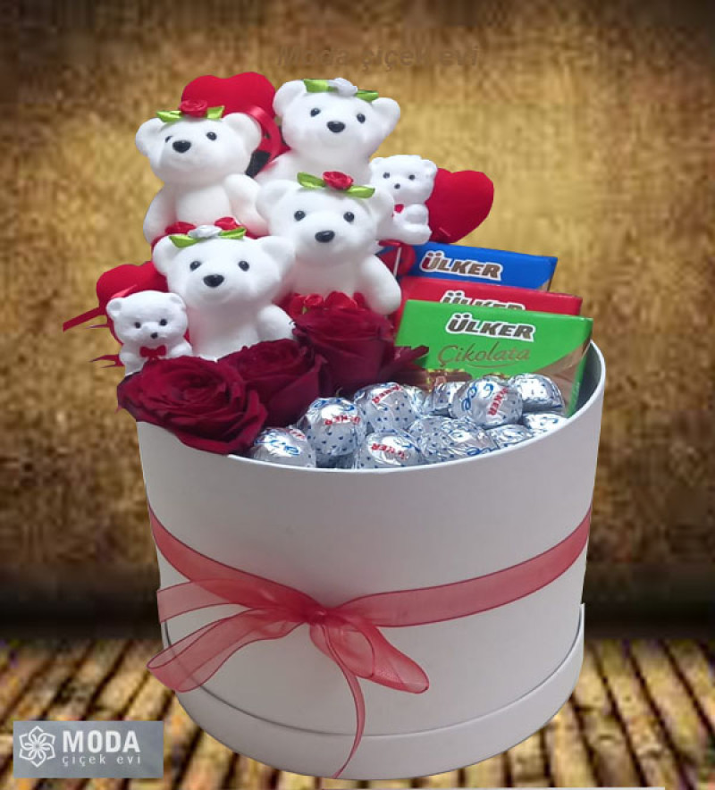 Kutu Ayıcık ve cikolata